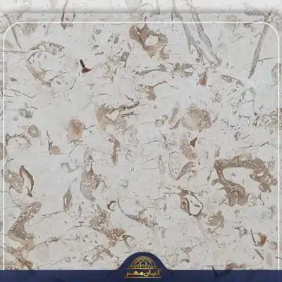 سنگ مرمریت پرطاووسی یزد | صنایع سنگ کیان مهر